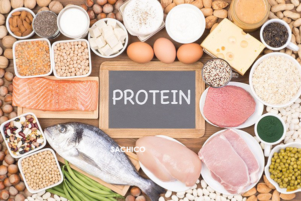 Thực phẩm giàu protein