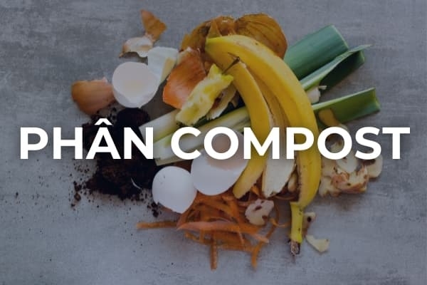 Khái niệm ủ phân compost là gì: Quy trình ủ phân hữu cơ