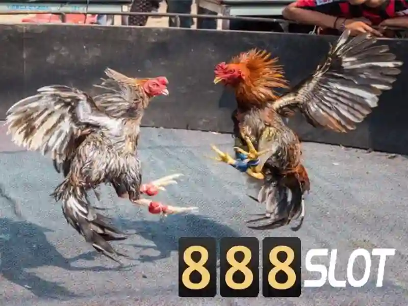 888slot - Nền tảng slot trực tuyến uy tín và hấp dẫn Go88