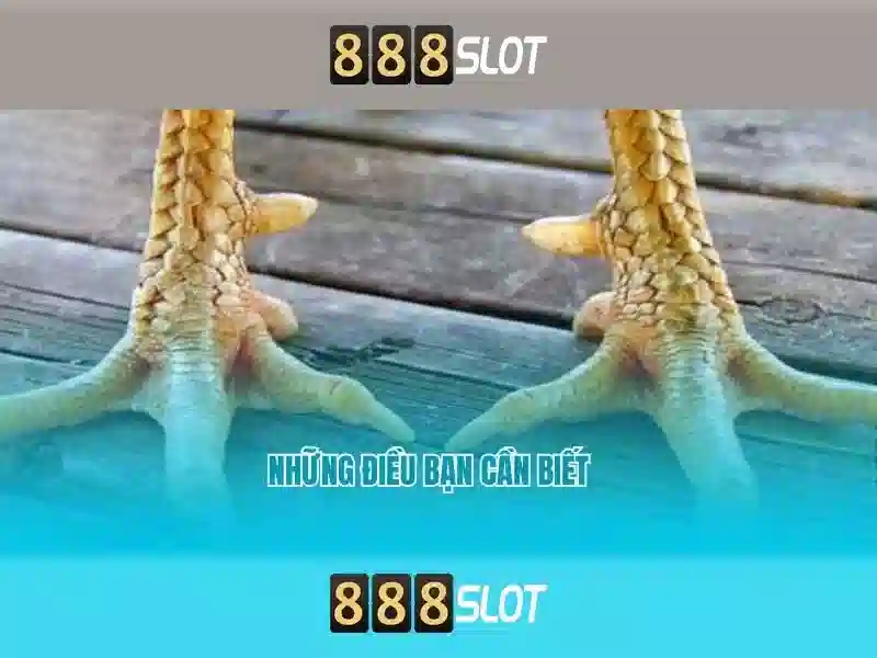 Giới thiệu về 888slot Giới thiệu về 888slot