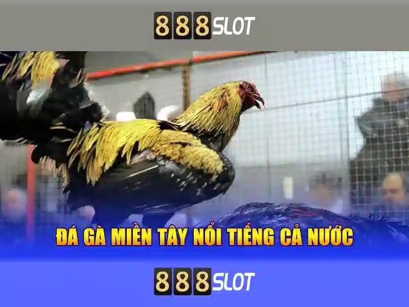Khuyến mãi và thanh toán