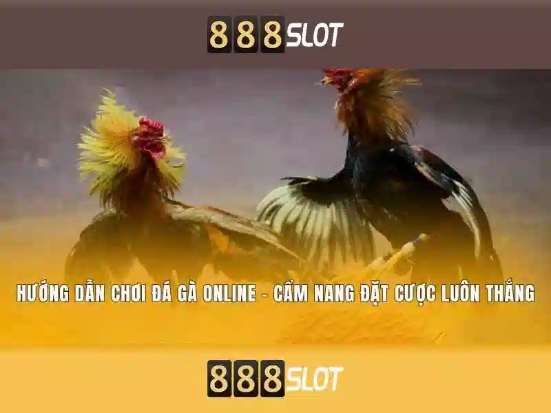 Khuyến mãi và hình thức thanh toán Khuyến mãi và hình thức thanh toán
