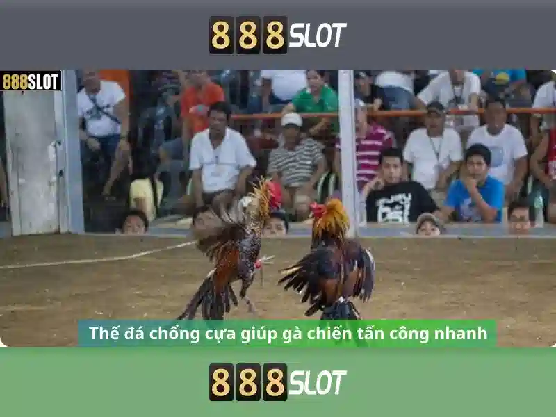 888slot - Đánh giá và hướng dẫn chơi an toàn Go88