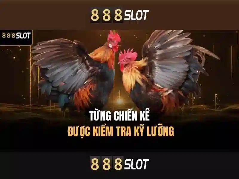 Giới thiệu về 888slot\n