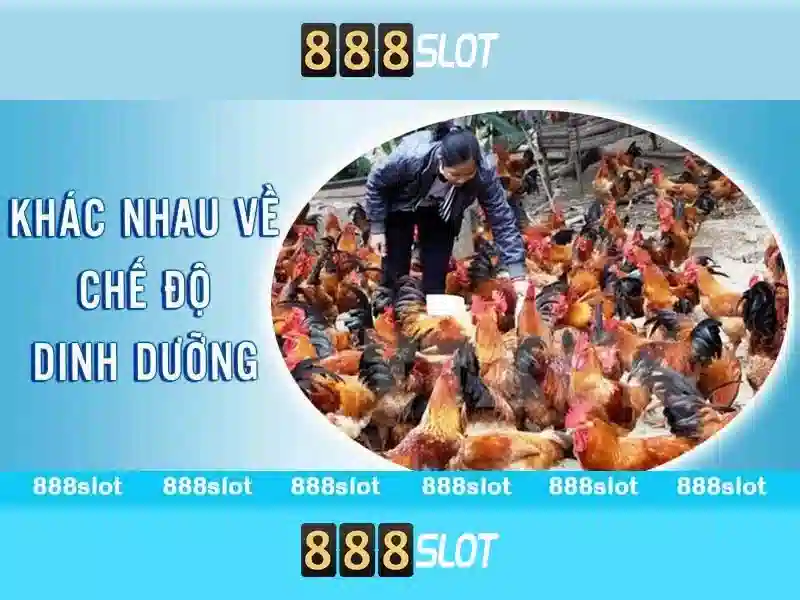 Giới thiệu về 888Slot