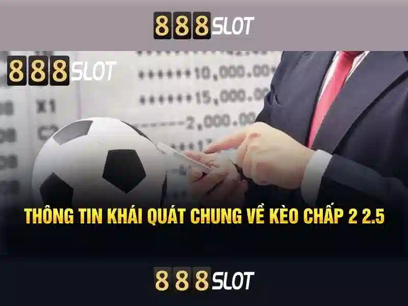 Trải nghiệm người dùng và giao diện\n Trải nghiệm người dùng và giao diện\n