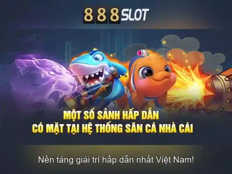 Trải nghiệm người dùng và hỗ trợ\n