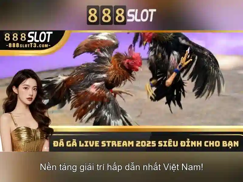 Danh mục trò chơi và chất lượng phần mềm Danh mục trò chơi và chất lượng phần mềm
