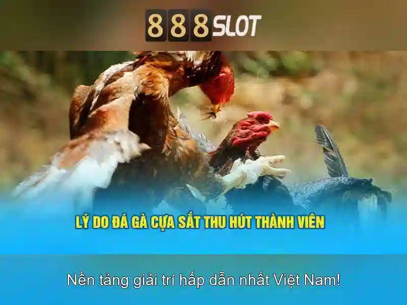 Trải nghiệm người dùng di động Trải nghiệm người dùng di động