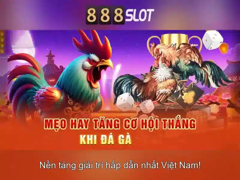 Trải nghiệm người chơi và giao diện Trải nghiệm người chơi và giao diện