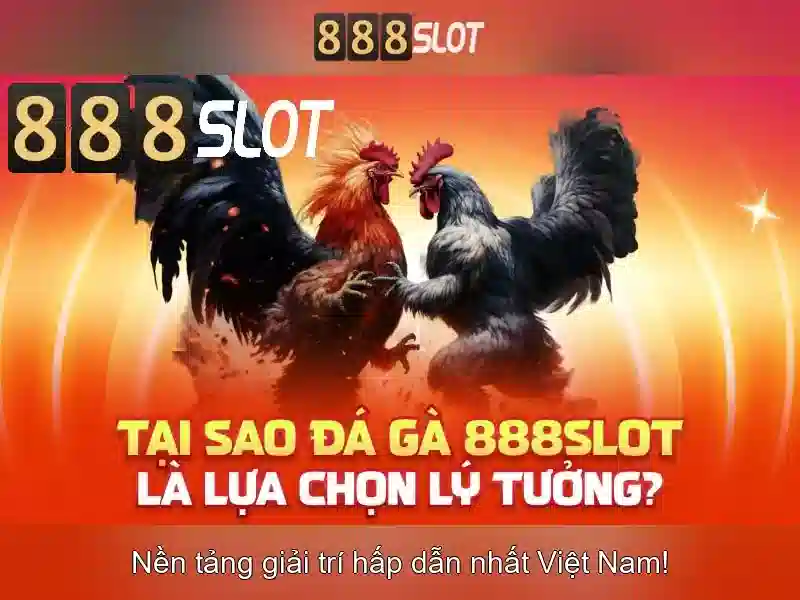 Khuyến mãi và chương trình VIP Khuyến mãi và chương trình VIP
