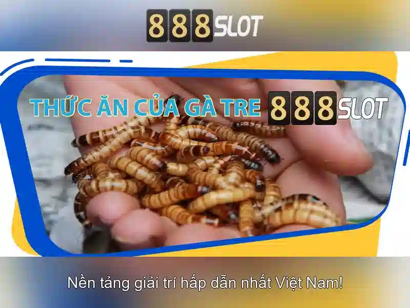 888Slot - Nền tảng chơi slot trực tuyến hàng đầu Go88