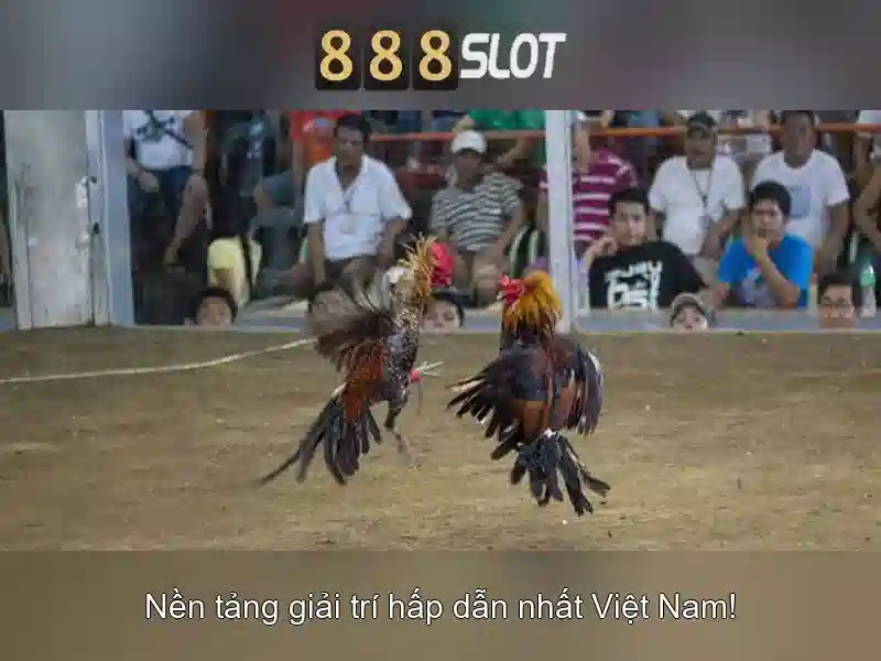 An toàn và thanh toán An toàn và thanh toán